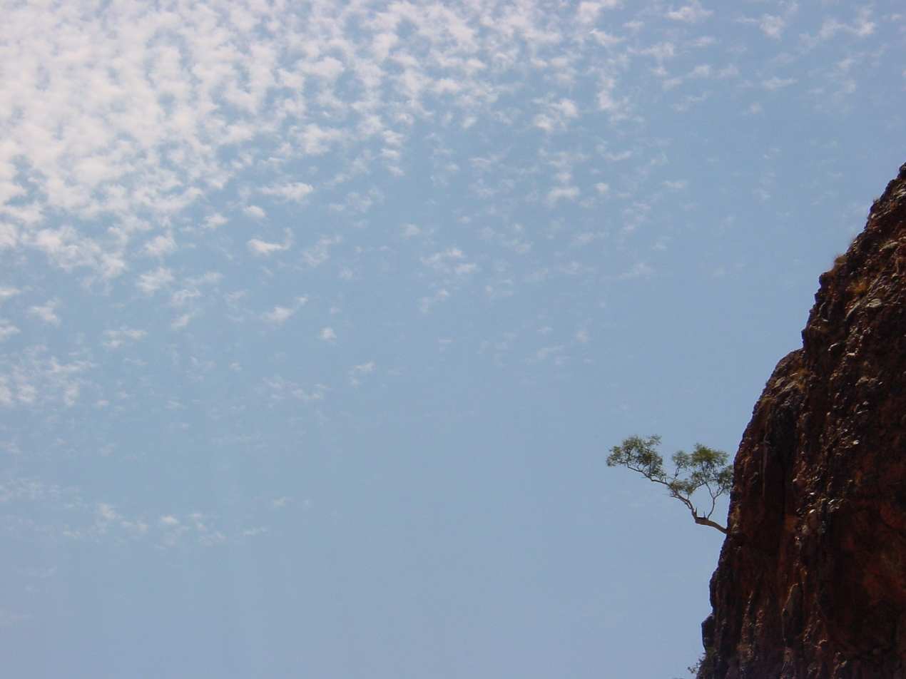 It's Lonely Being Green, McDonnell Ranges, Central Australia