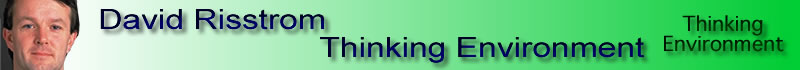 About This Website - David Risstrom Thinking Environment